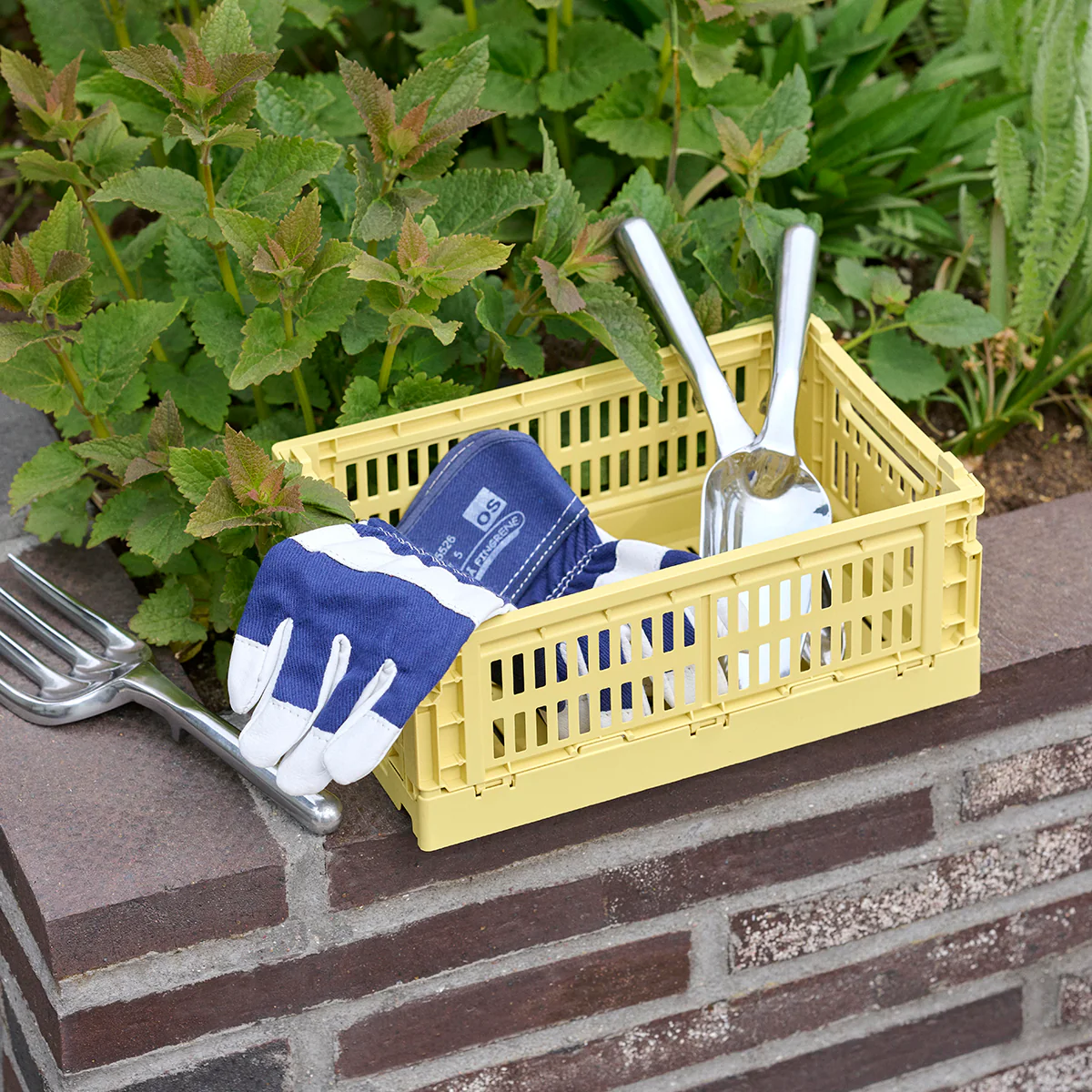 Image du produit 9