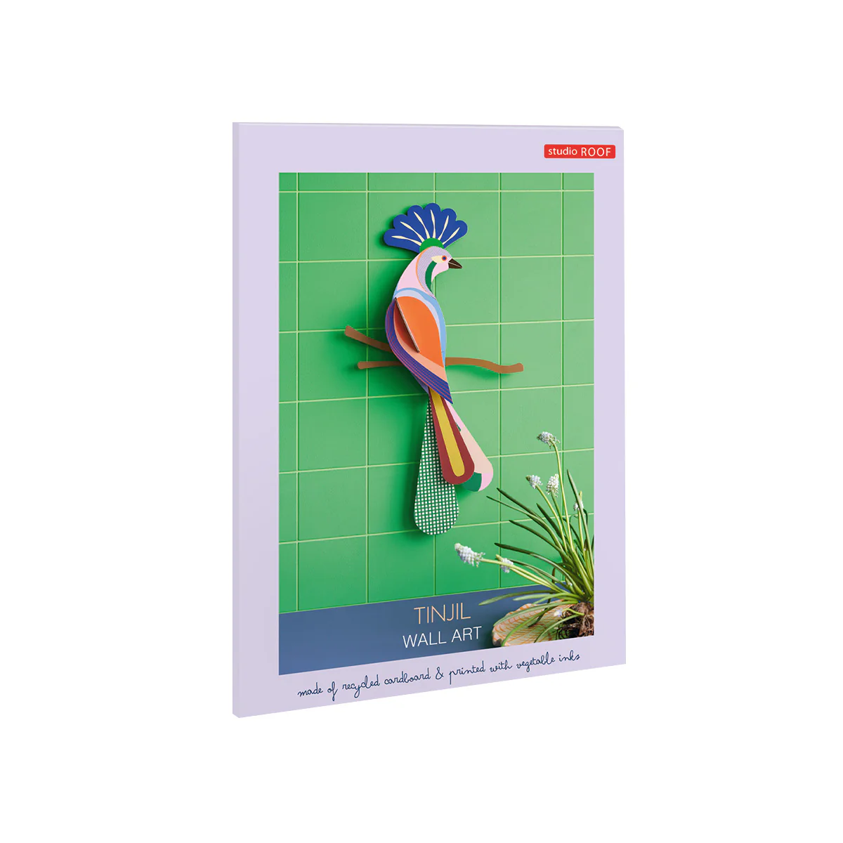 Image du produit 5