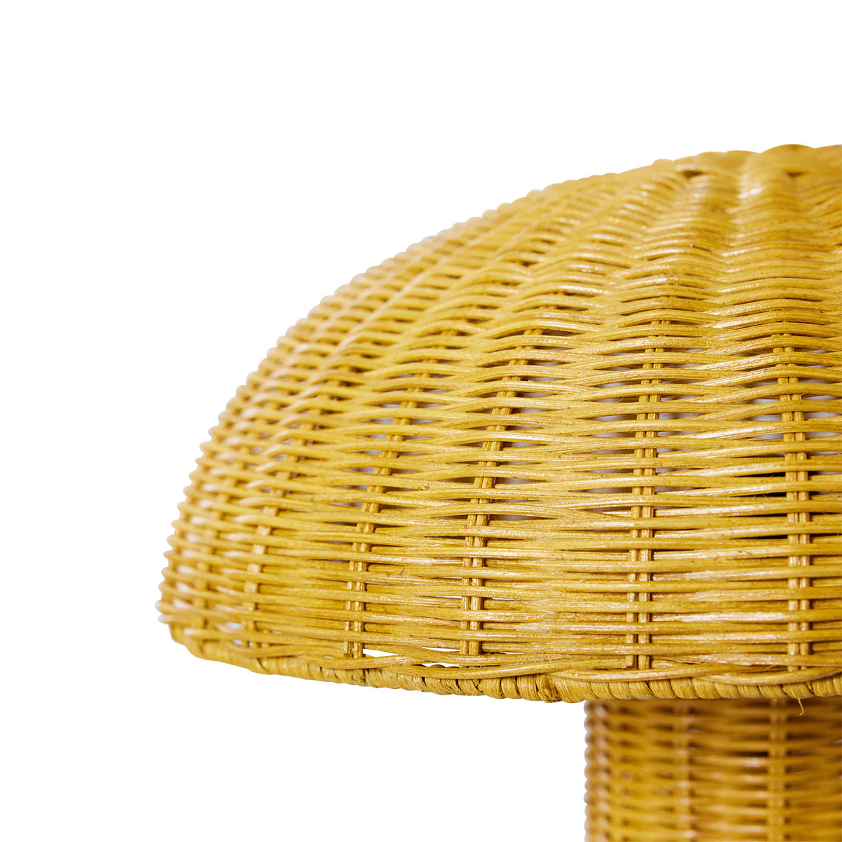 Image du produit 19