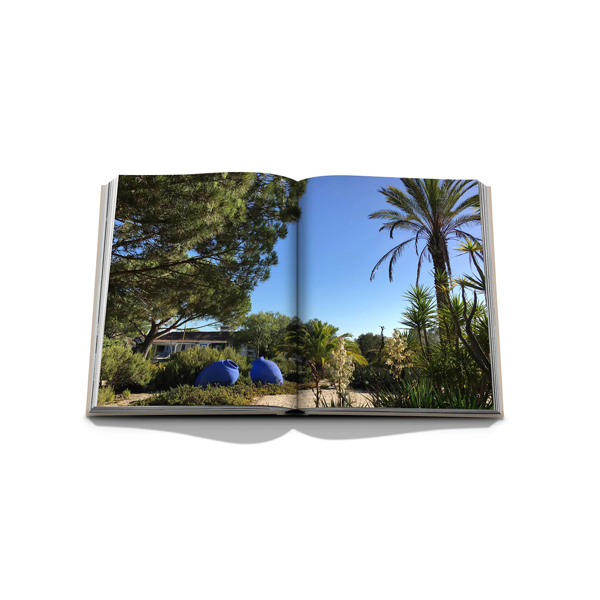 Image du produit 5
