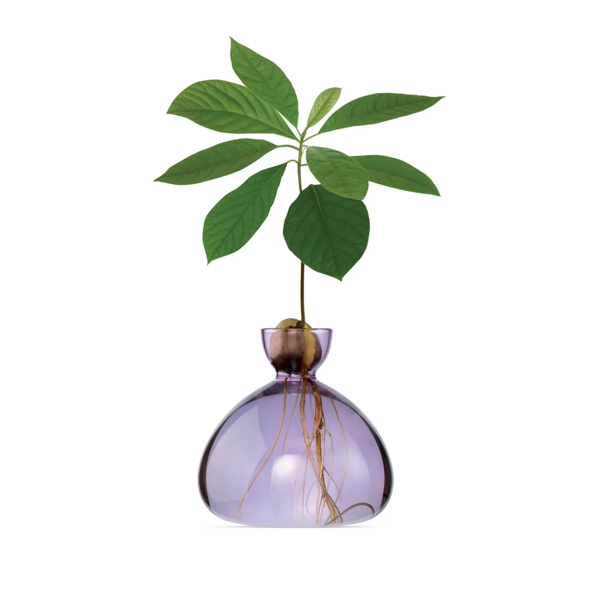 Image du produit 11