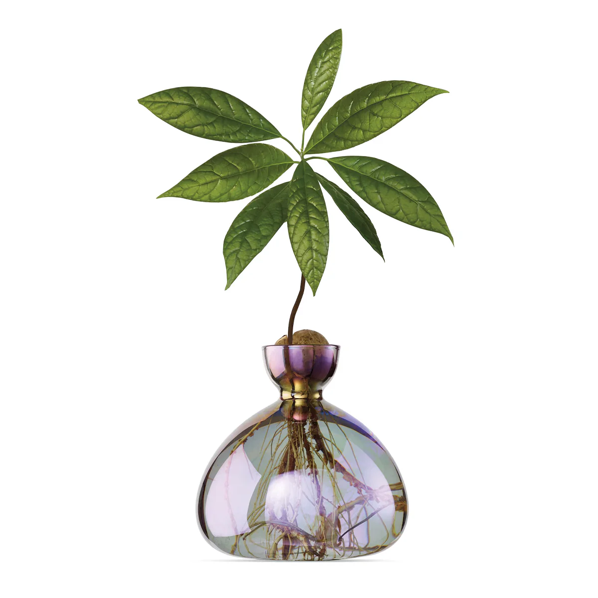 Image du produit 13