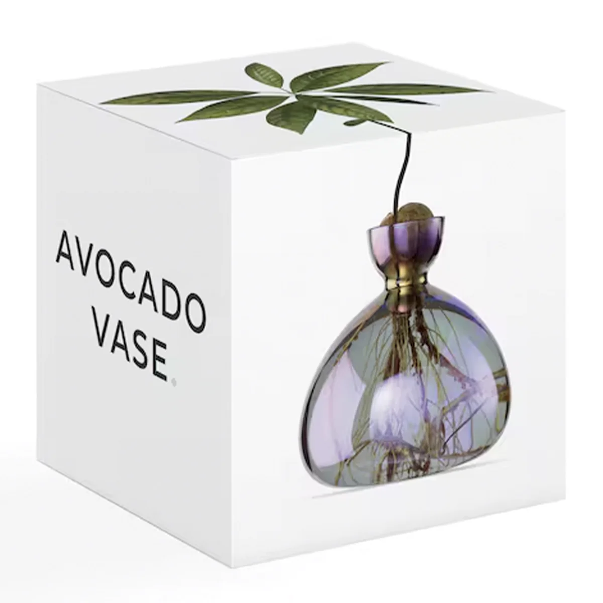 Image du produit 14
