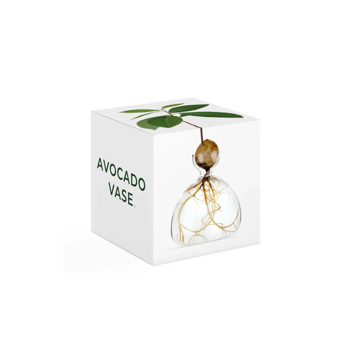 Image du produit 17