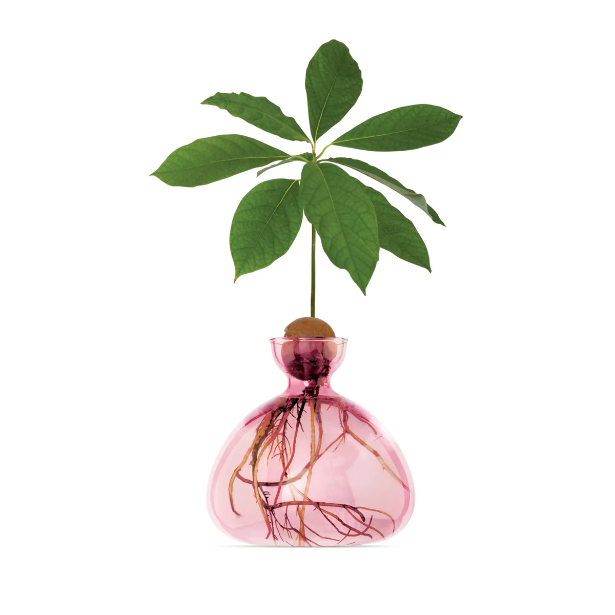 Image du produit 9