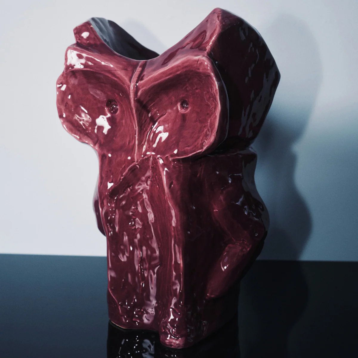 Image du produit 12